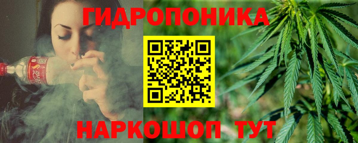 Бошки марихуана планчик Железноводск